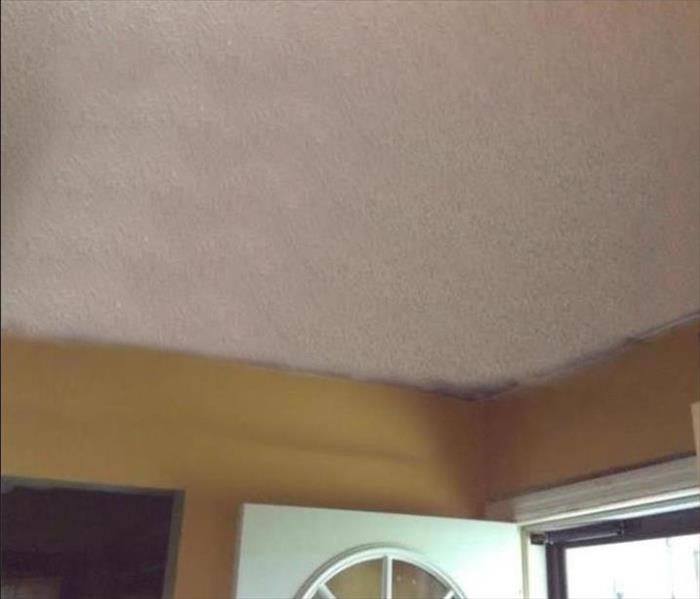 Repaired storm damaged ceiling 