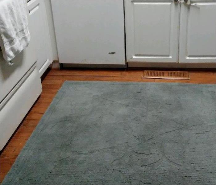 grey carpet in kitchen